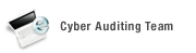 cyber Auditing