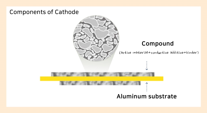 Components of Cathode